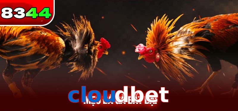Đá gà cloudbet có sức hấp dẫn