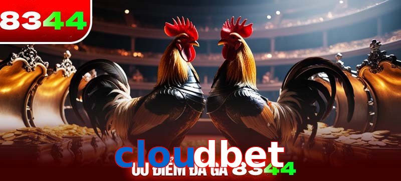 Thể loại đá gà cloudbet được ưa chuộng